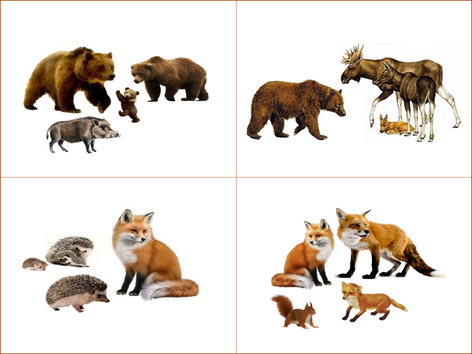 4 Лишний животные