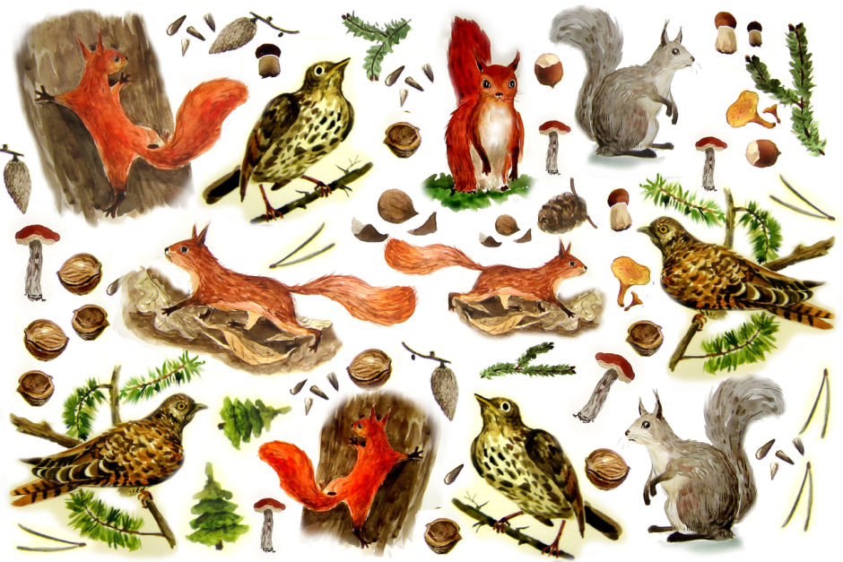 Жители леса для детей