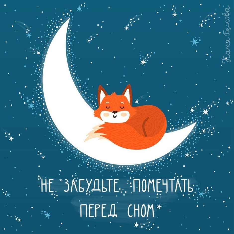 Лисы Эстетика