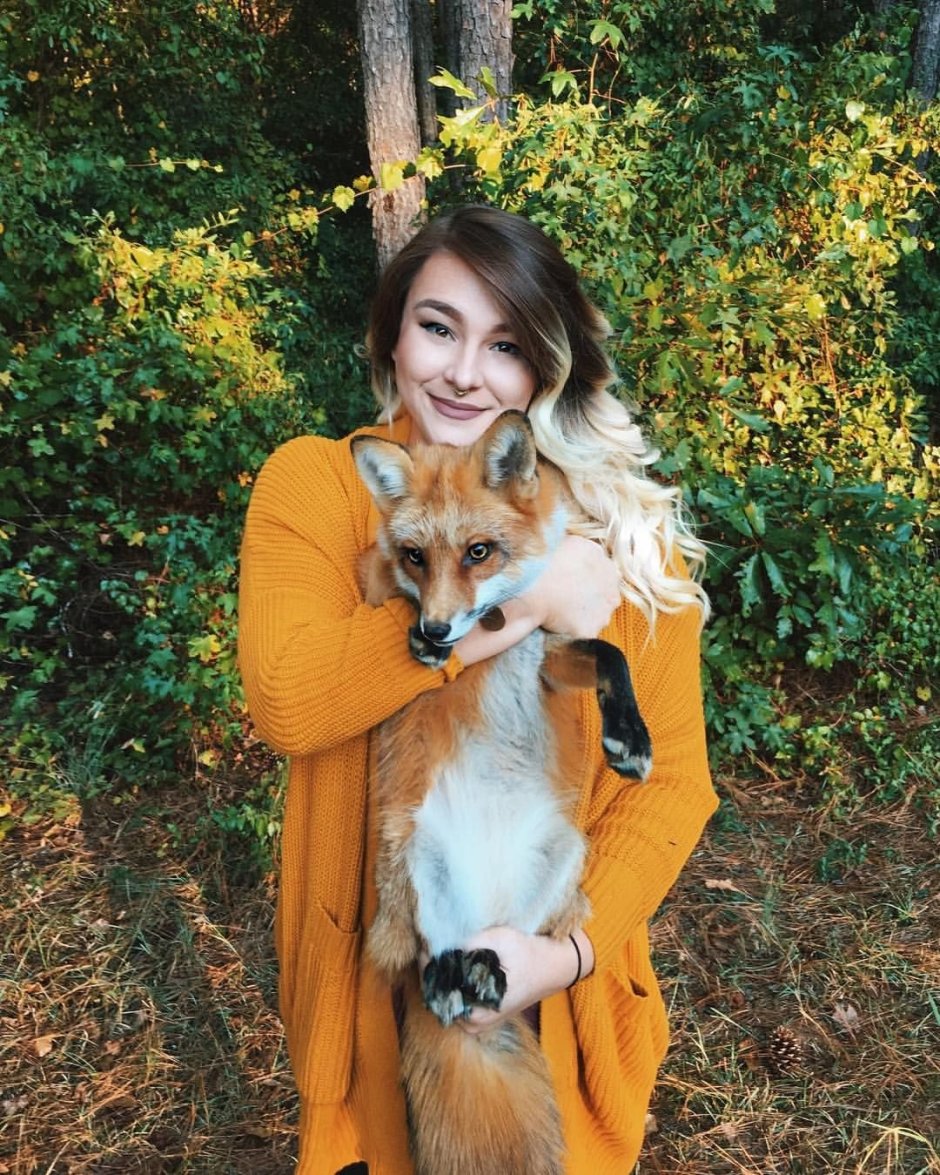Darenrin Mayura Wolf
