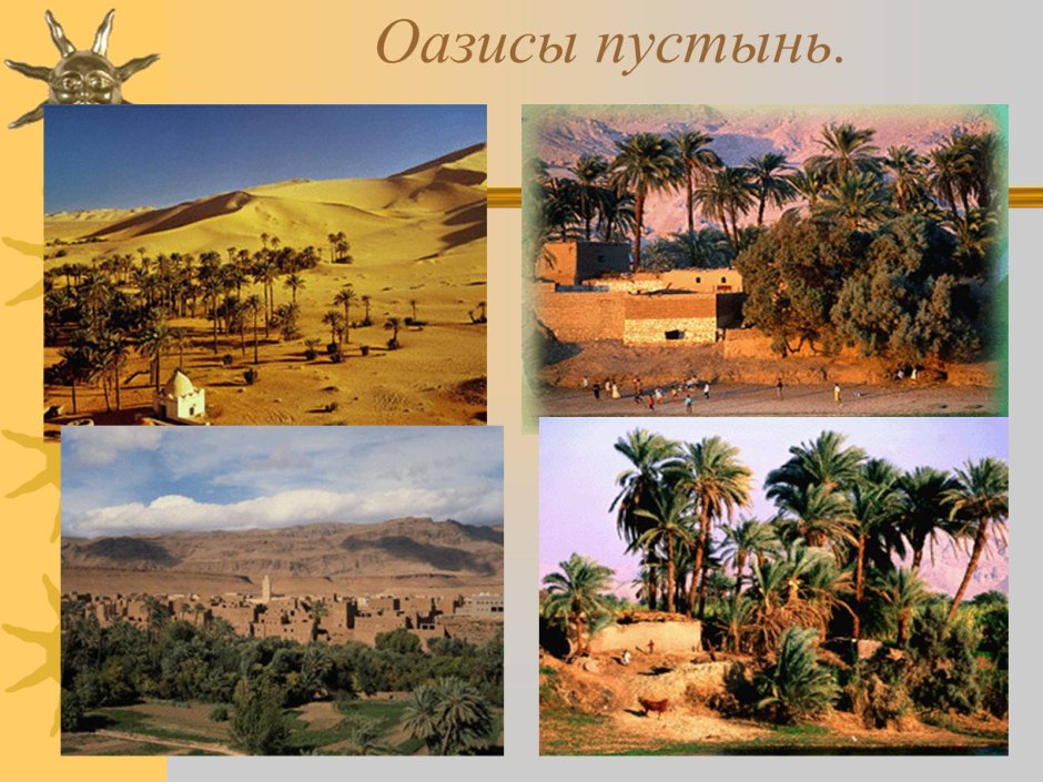 Дубай Орикс антилопа