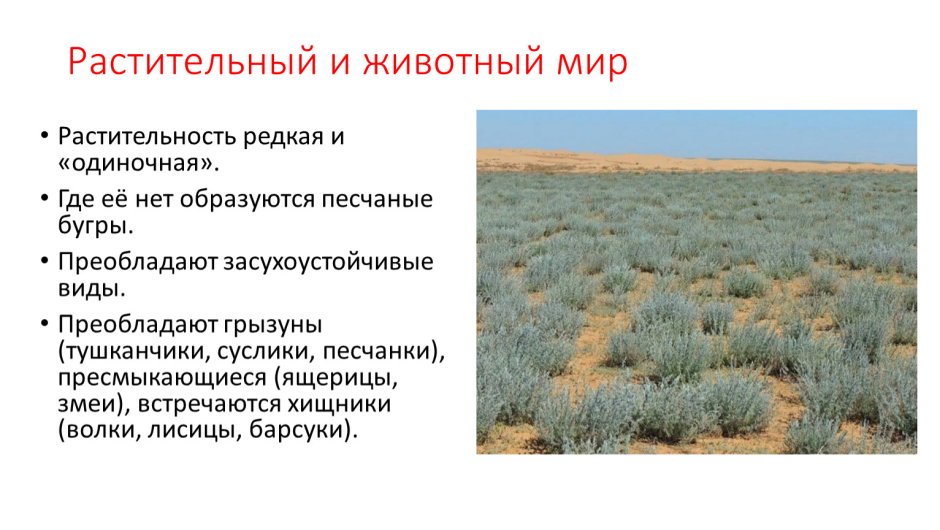 Сообщение о саванне