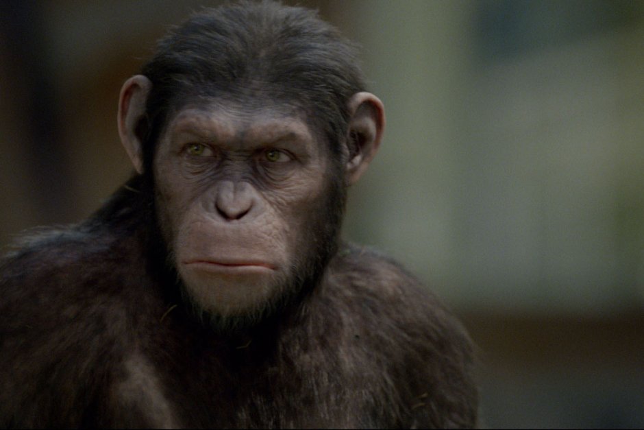 Огромная обезьяна