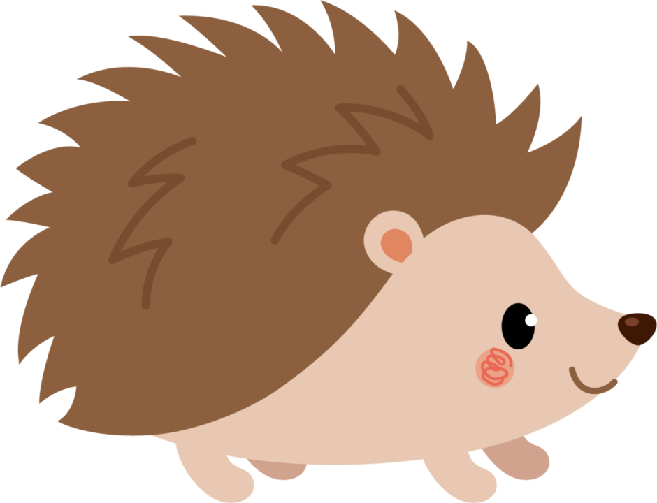 Лицо ежика