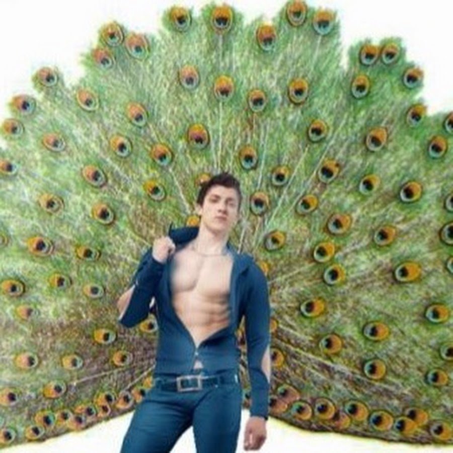 Павлины индийские Арлекин