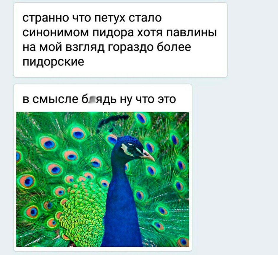 Красивый Павлин