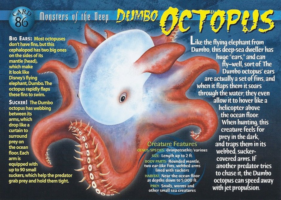 Monsters of the Deep
