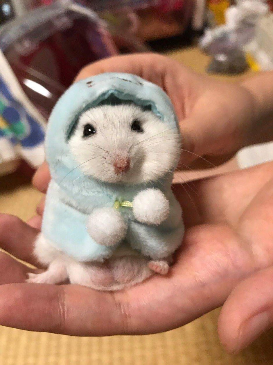 Шлакоблокунь и его друзья