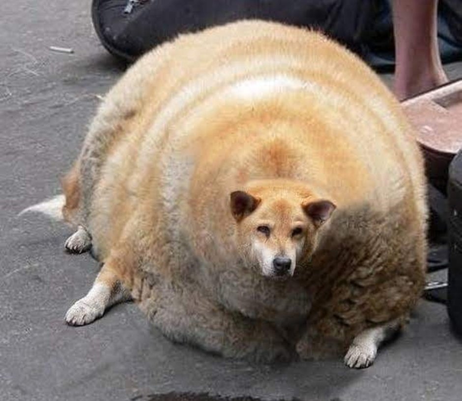 Байцур Григорий