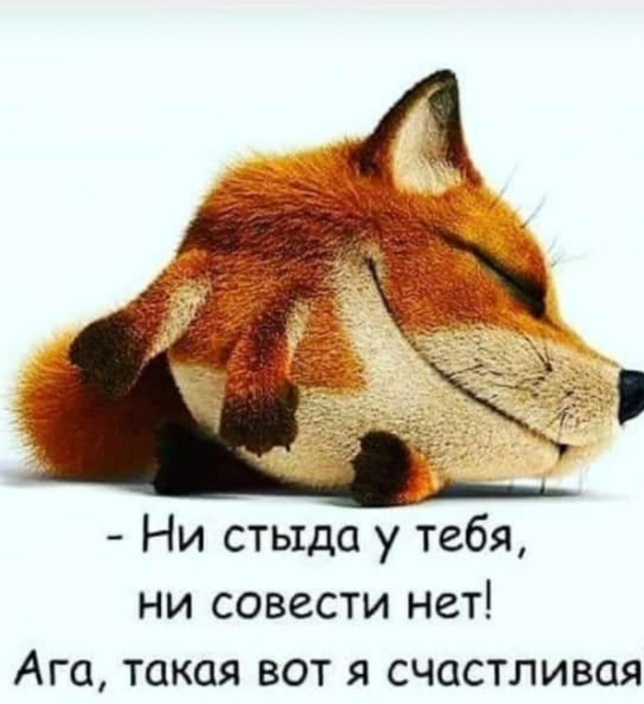 Веселый Бегемотик