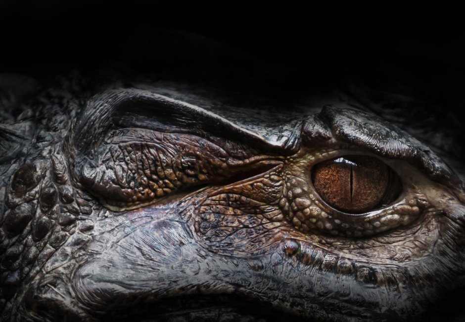 Спиноникс Jurassic World
