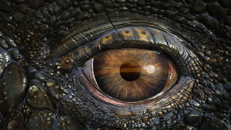 Глаза дракона (Dragon Eyes)