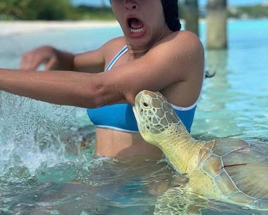 Женщина черепаха