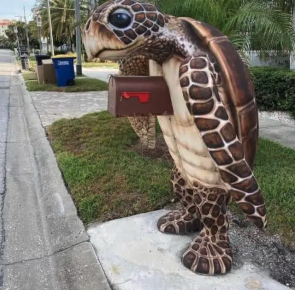 Смешные черепахи