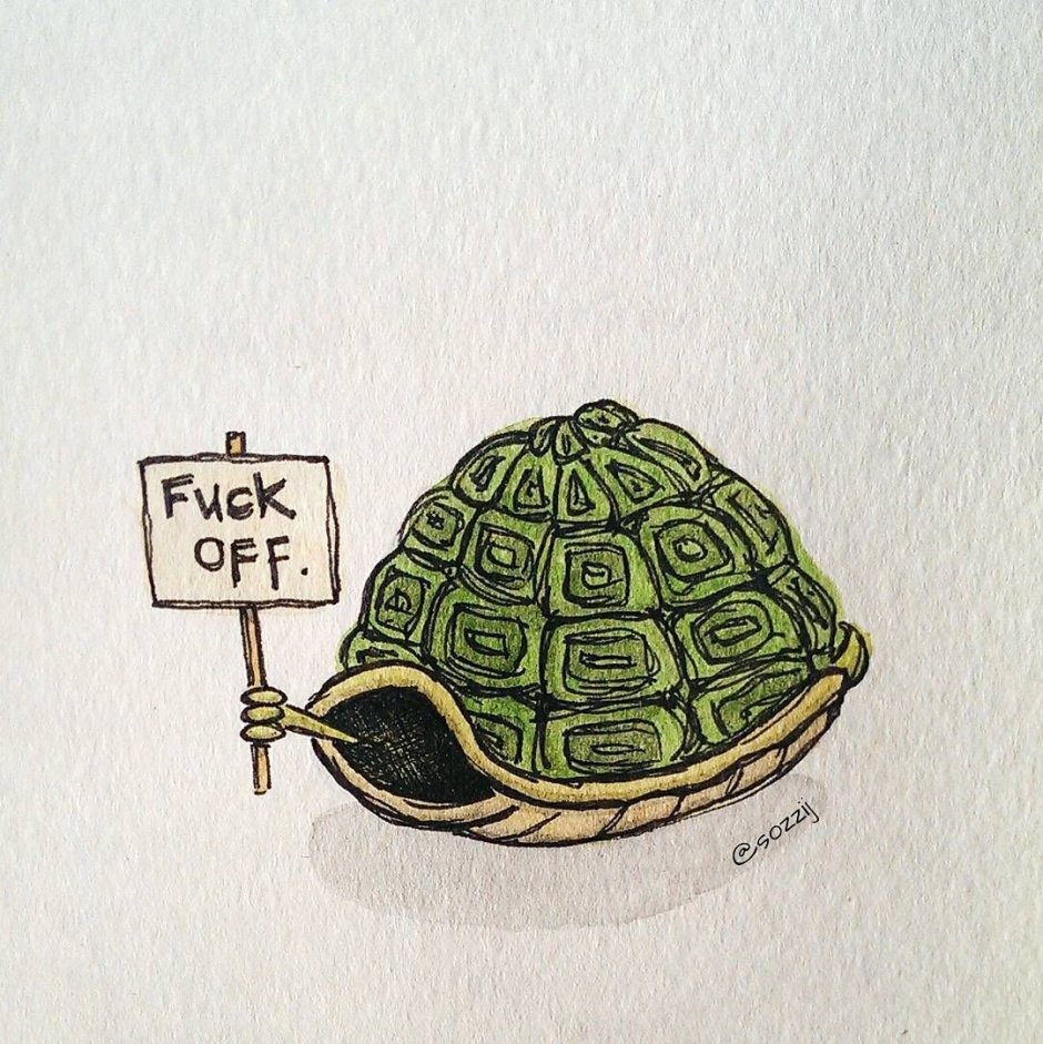 Иллюстрации черепашка в домике