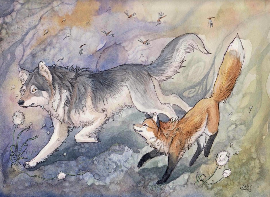 Спаривание Волков