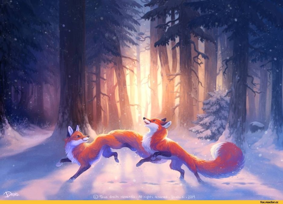 Фурри лиса и дракон