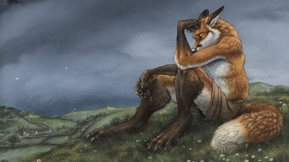 Лиса меланист