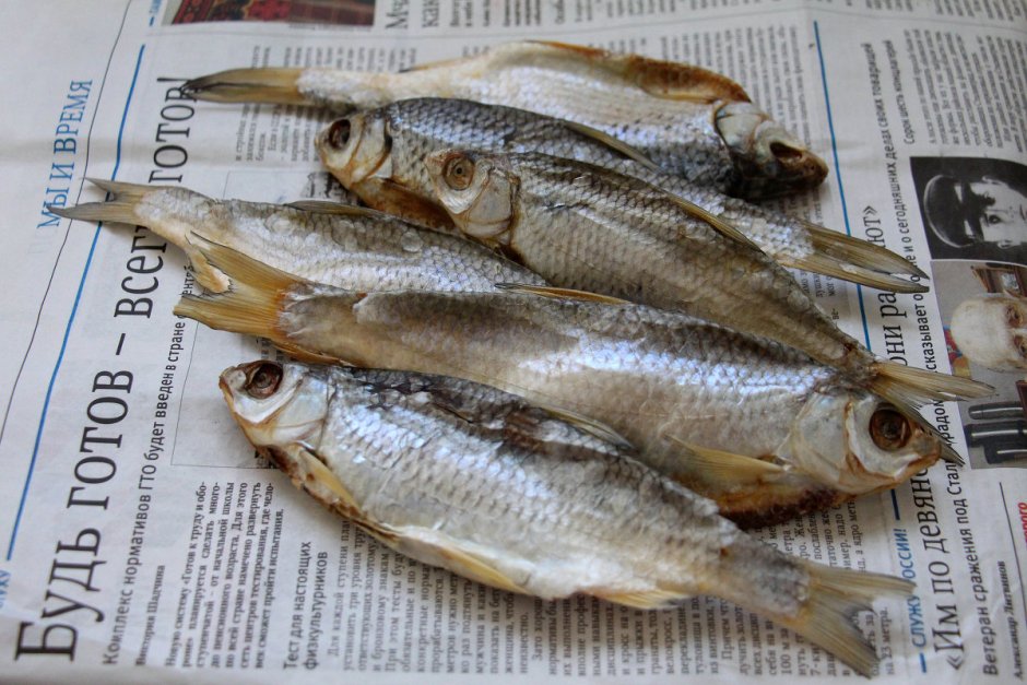 Вобла Каспийского моря