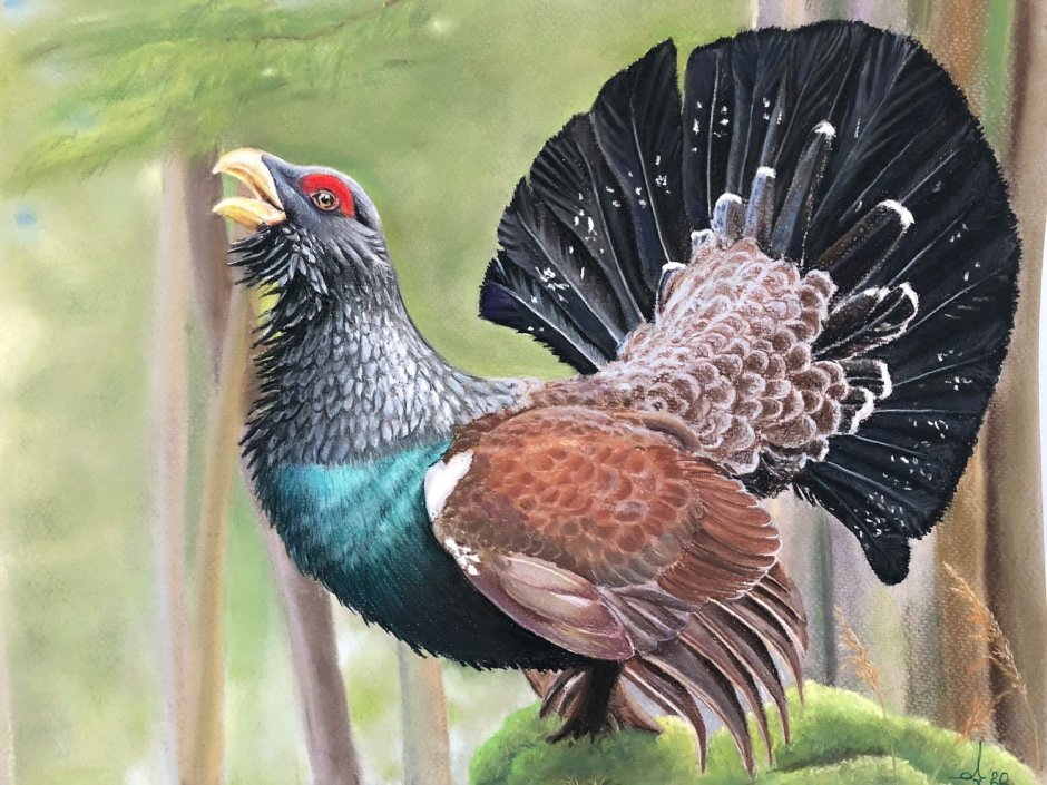 Глухарь тетерев фазан