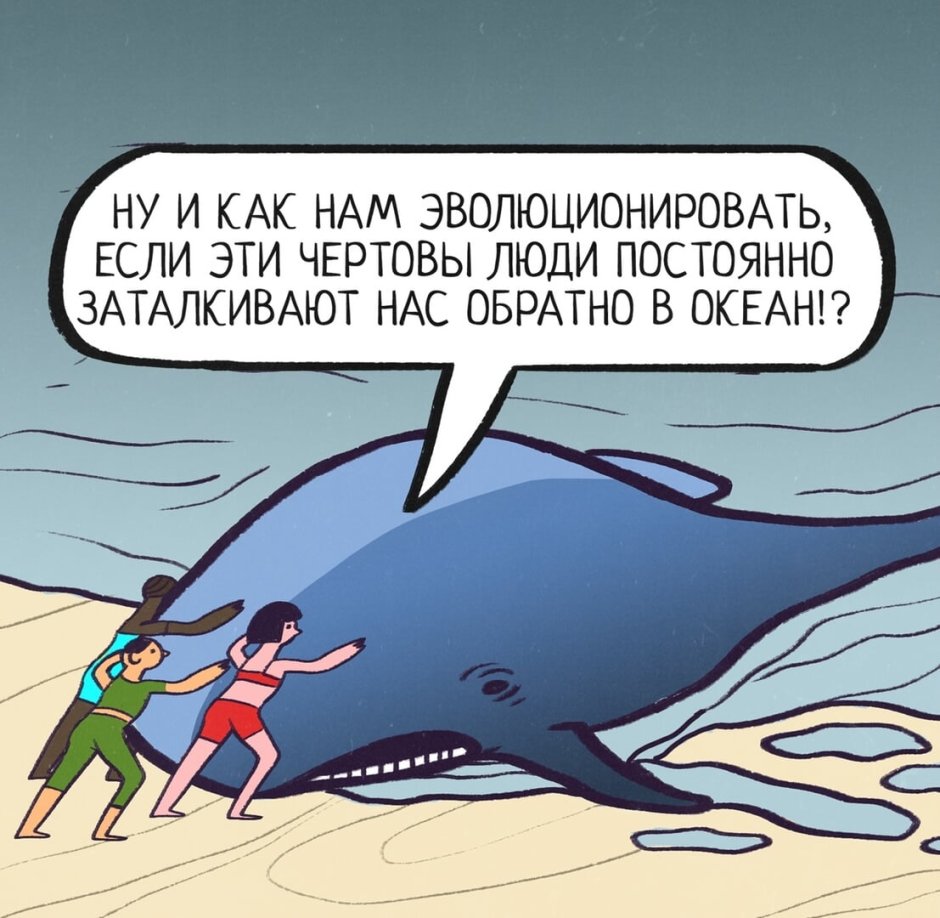 Девушка и кит