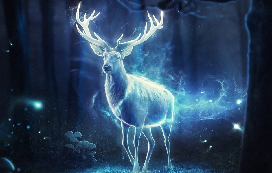 Корейский художник-иллюстратор Jungsuk Lee