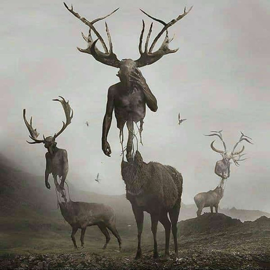Ель Йоль