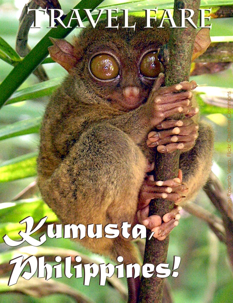 Суматранский долгопят