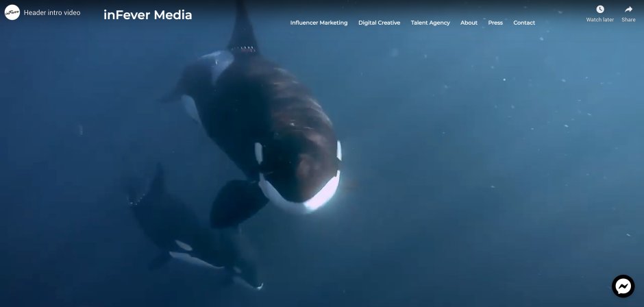 Охотское море касатки
