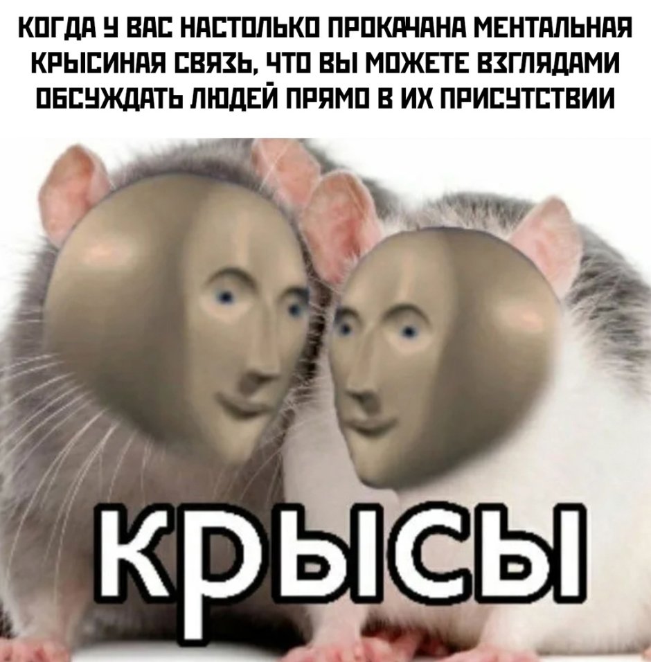 Пьяная мышь