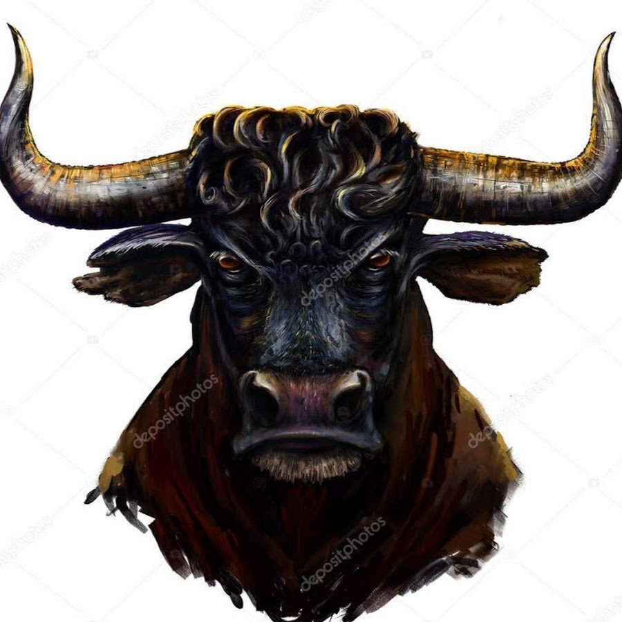 Голова черного быка