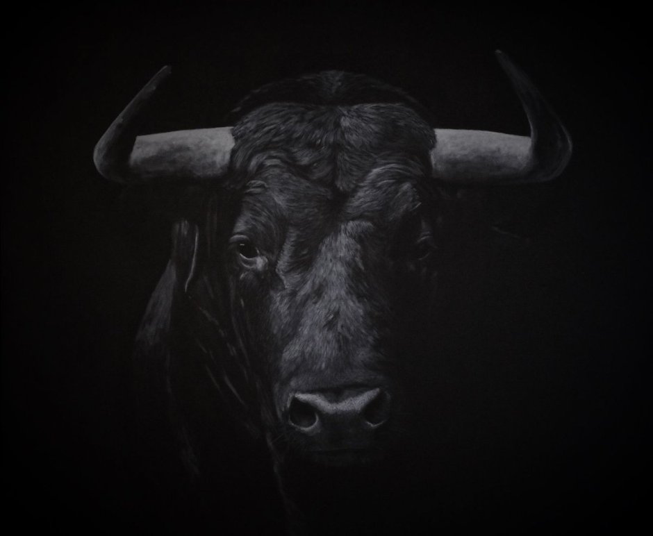 Черный бык на черном фоне