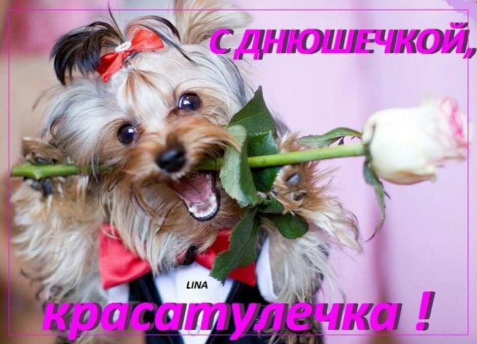 Ешкорский терьер