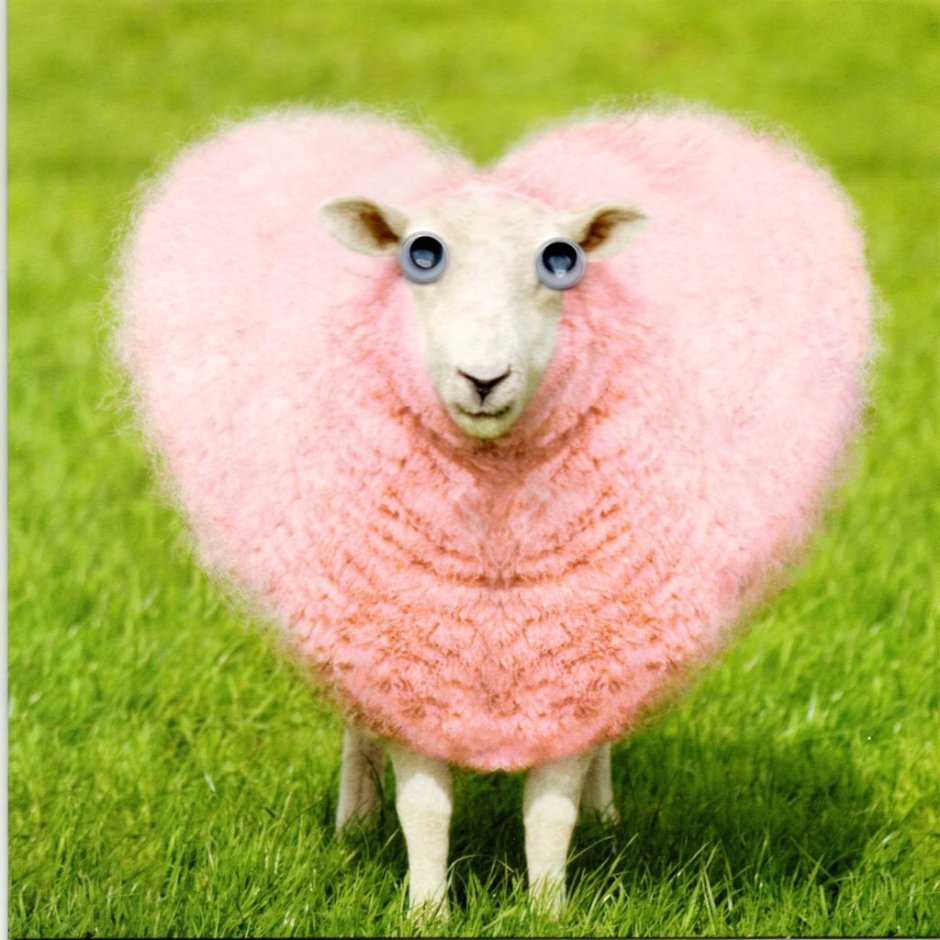 Корова с венком на голове