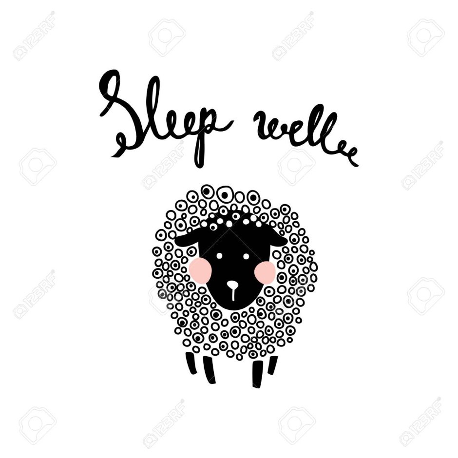 Отара овец на дороге