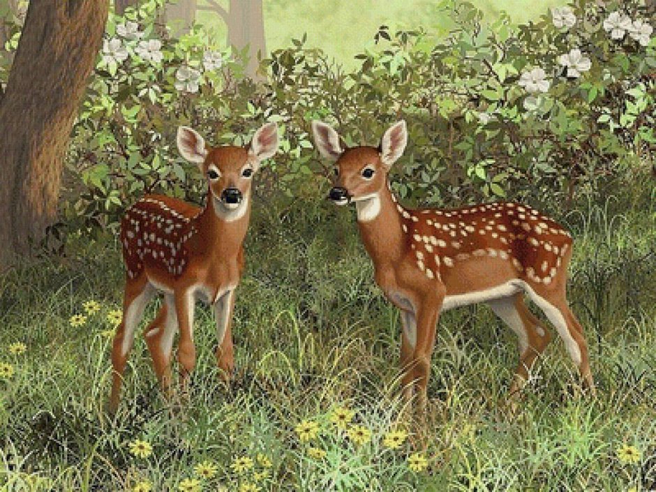 Американская художница Crista Forest картины