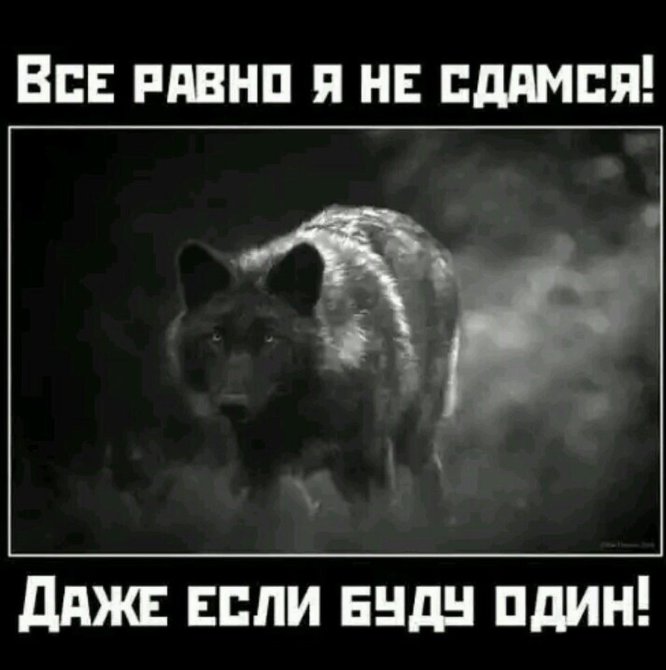 Волк с надписью
