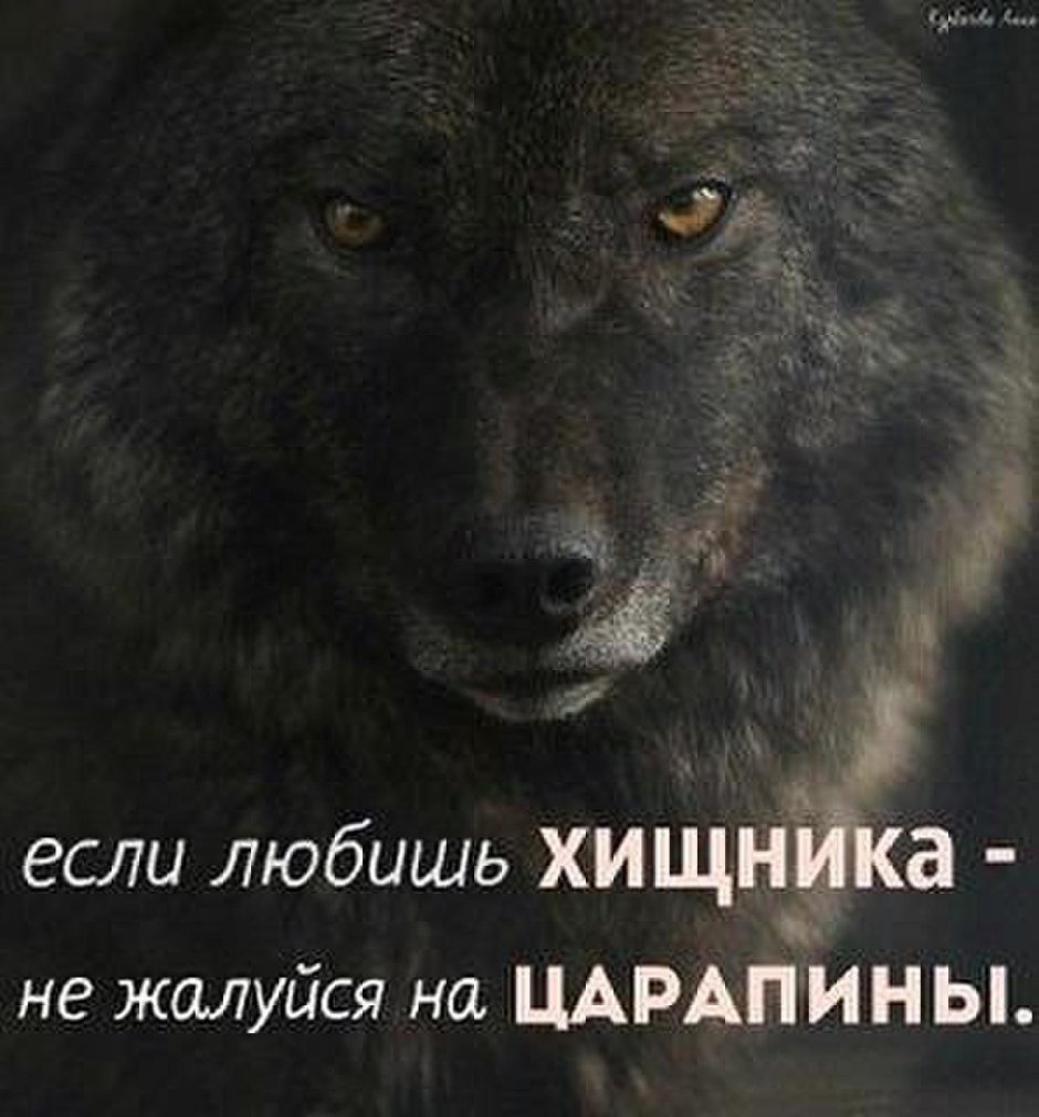Будь сильным в одиночку