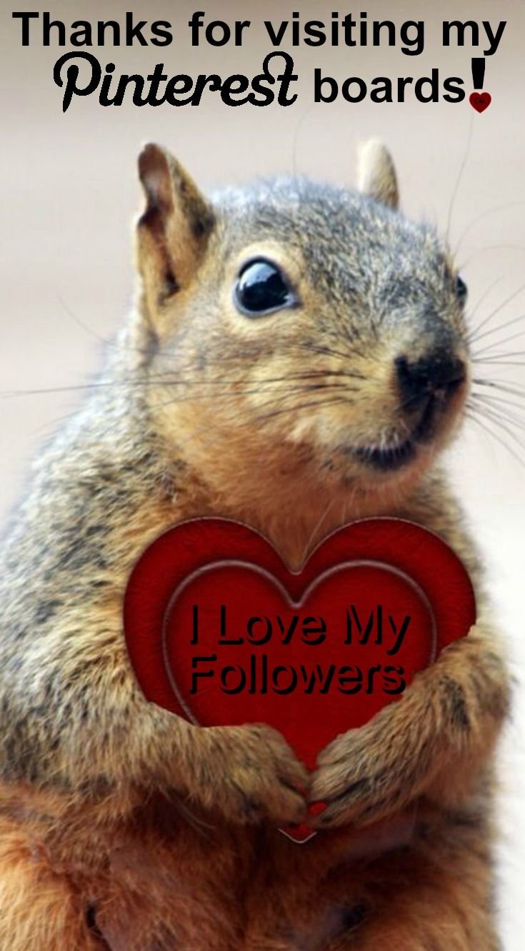 Стая бурундуков