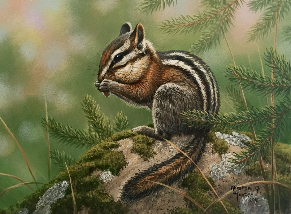 Спящий бурундучок