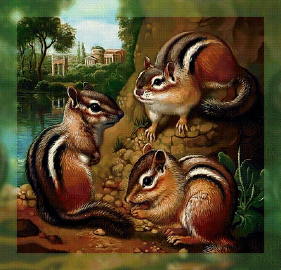 Художница Яна Мовчан бурундук