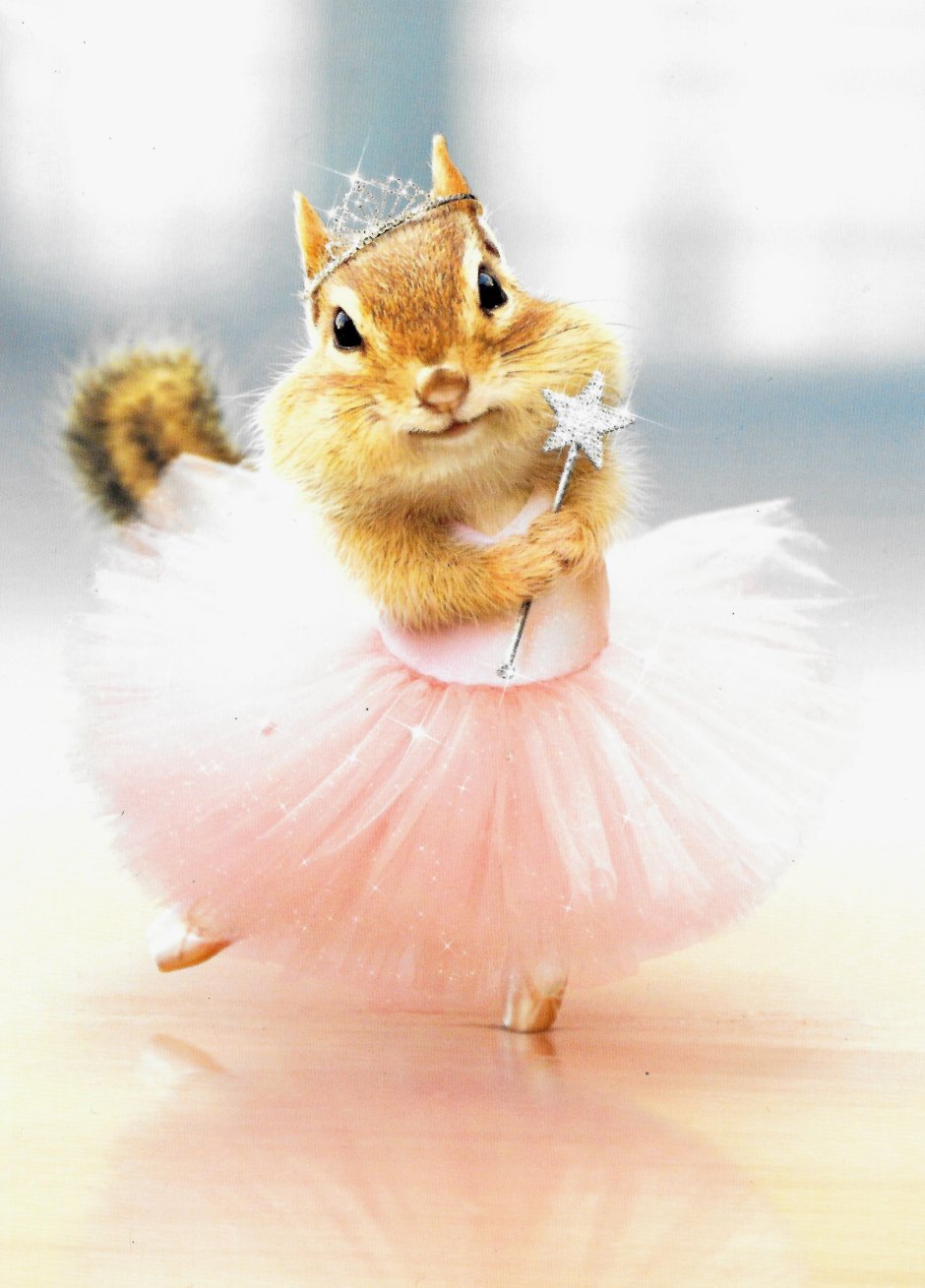 Бурундучок Теодор