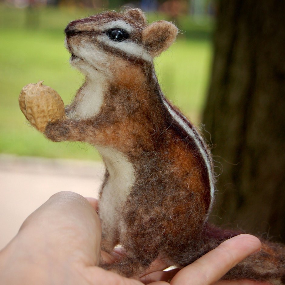 Белка обиделась