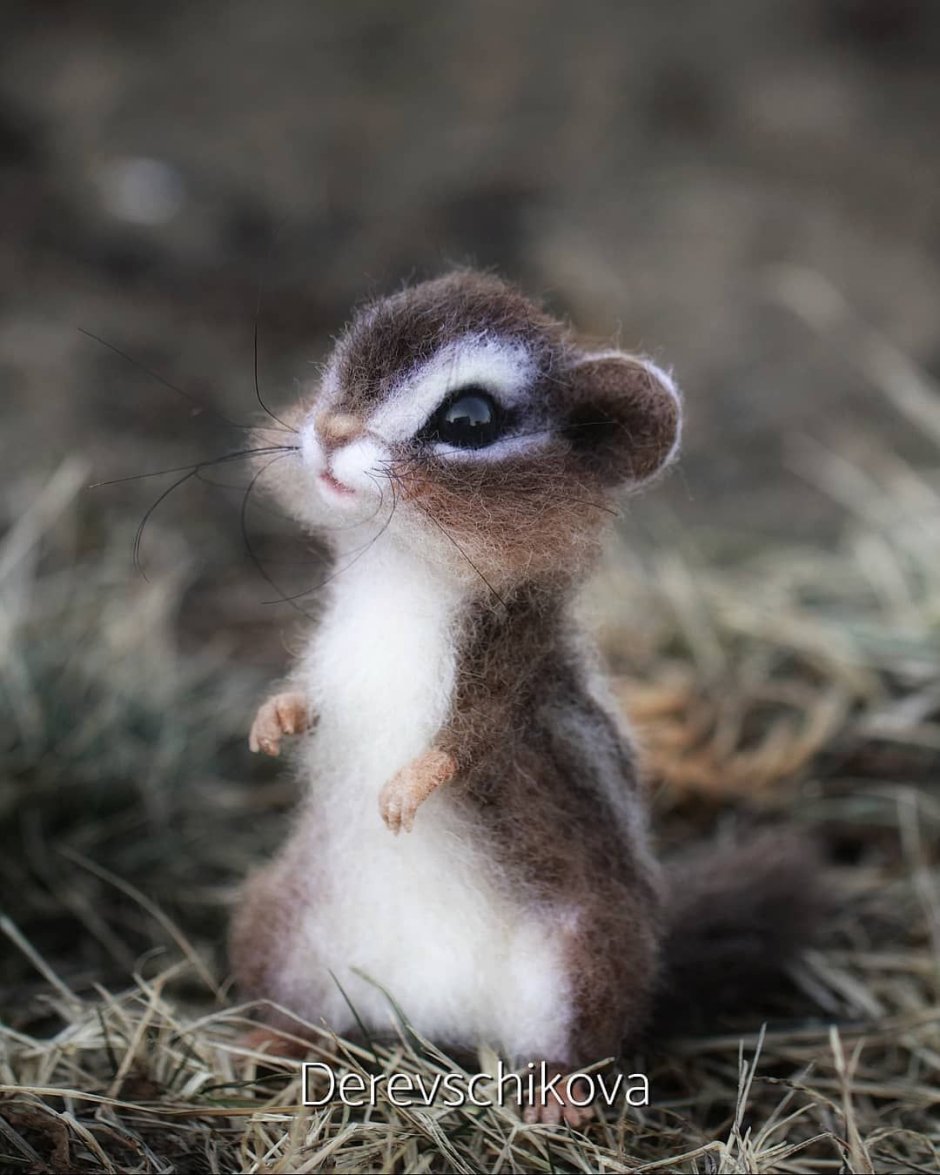 Маленькие животные