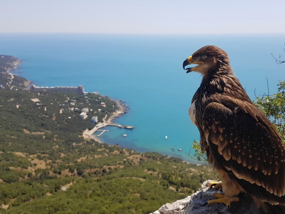 Крымский природный заповедник Алушта