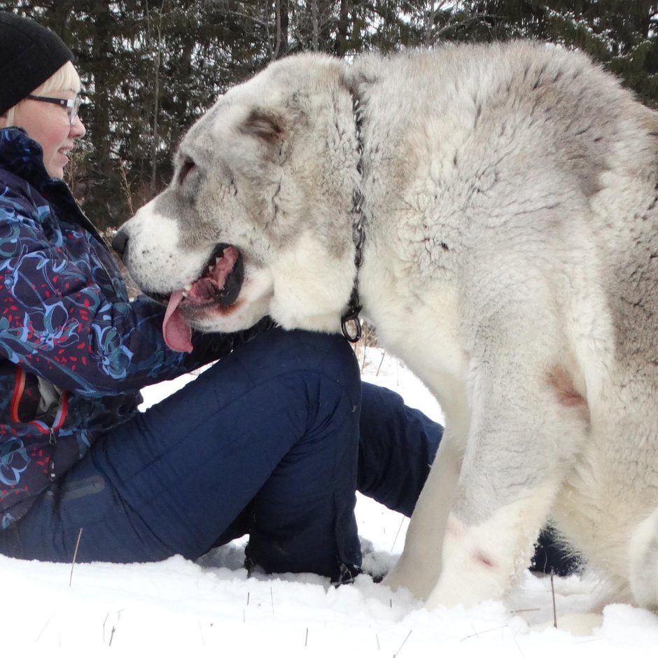 Эзиз Хан Туркмен