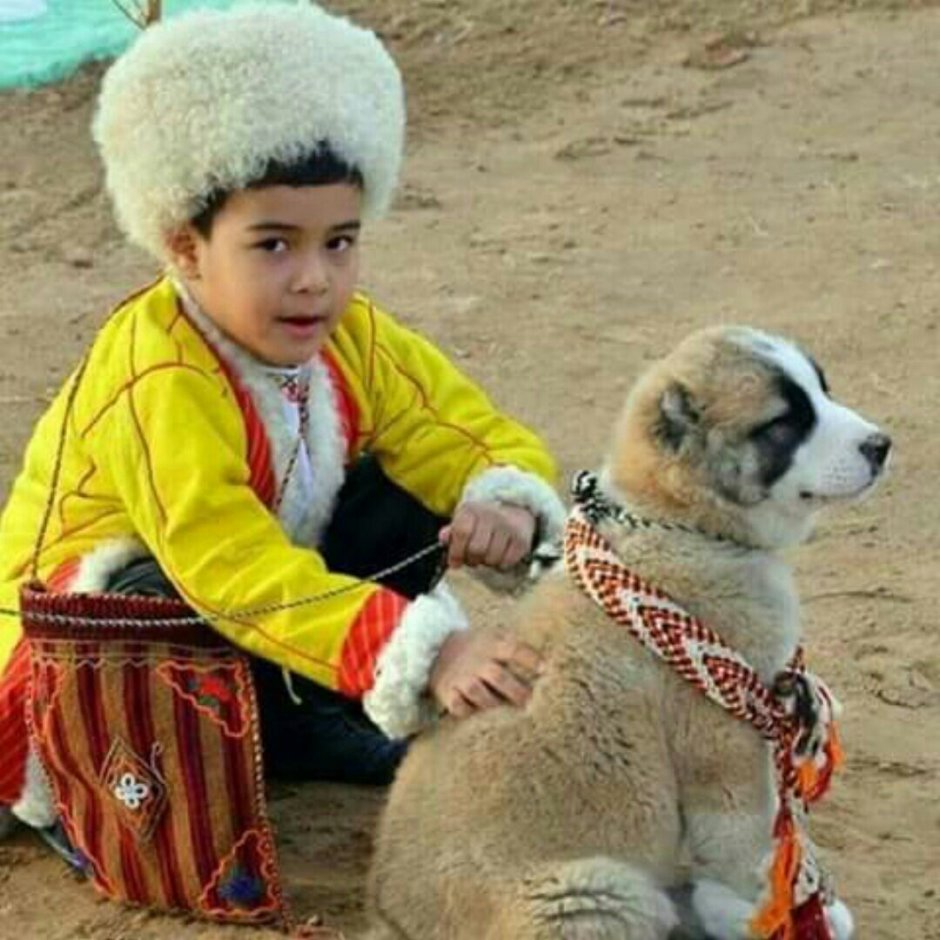 Туркменский алабай кангал