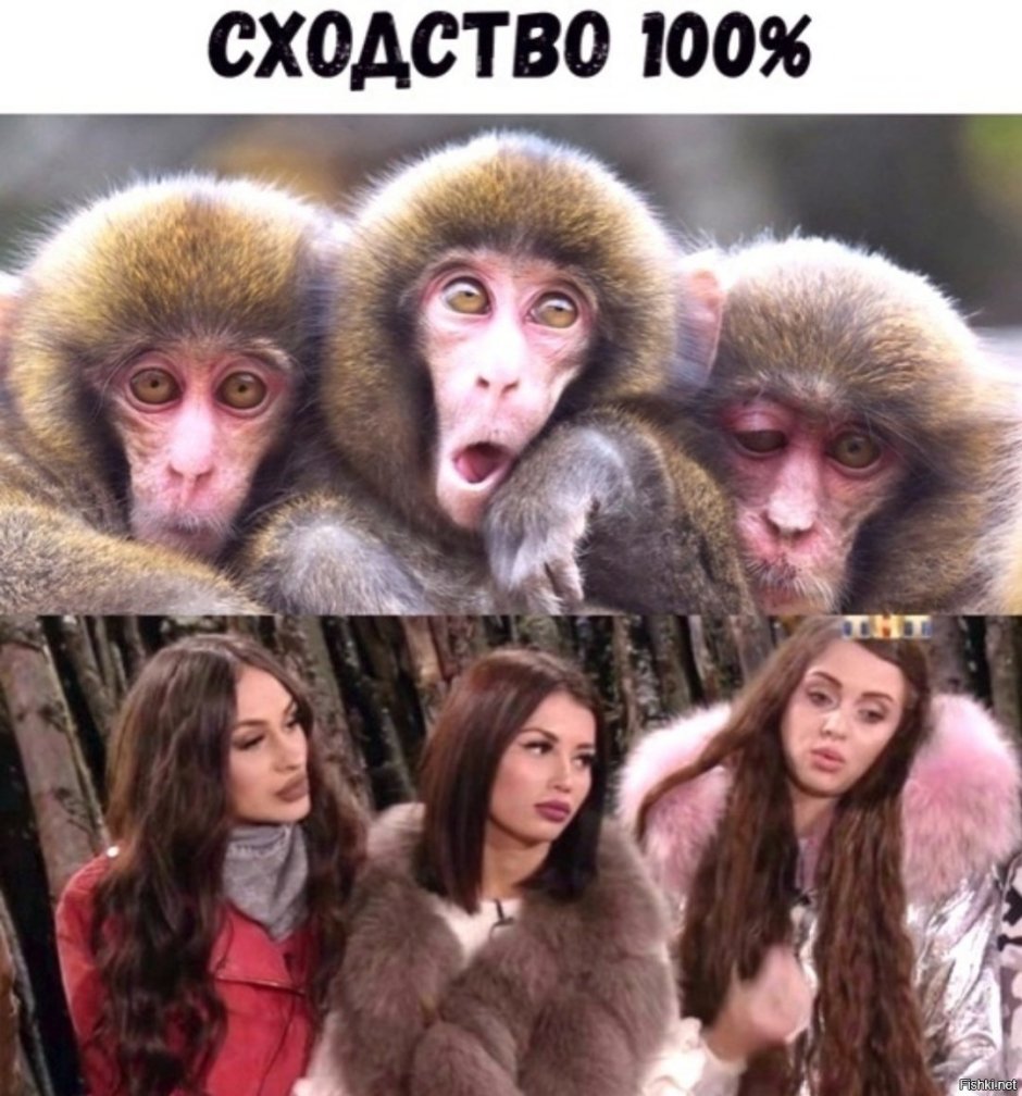 Накрашенная обезьяна