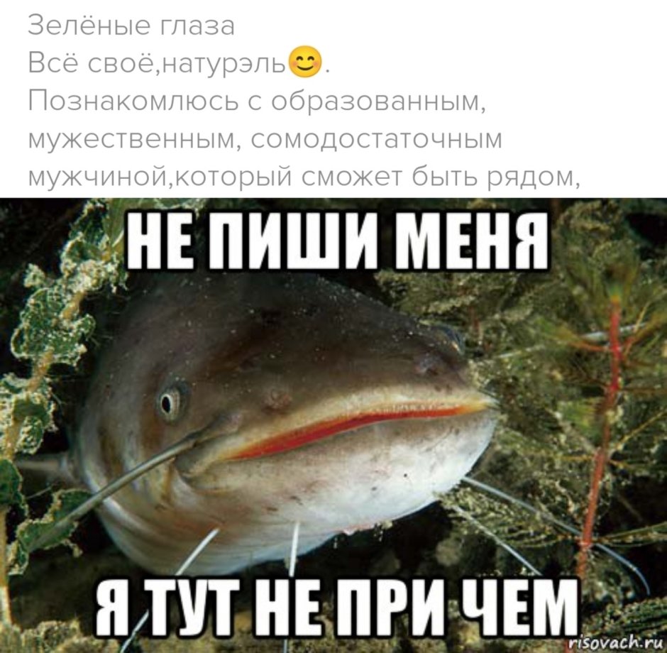 Самолет сом