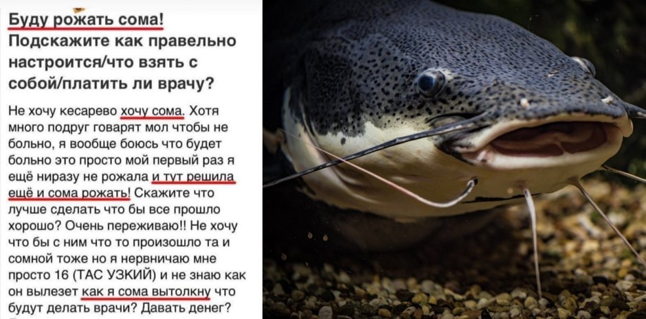 Рыба с открытым ртом